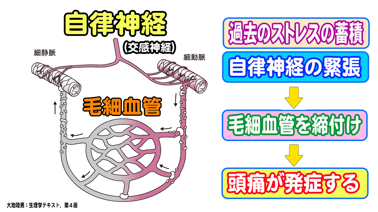 毛細血管締め付け1